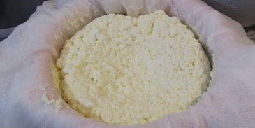 домашний творог