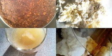 чизкейк с халвой без выпечки