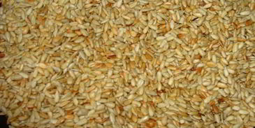 халва домашняя