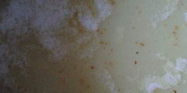 любимая халва султана