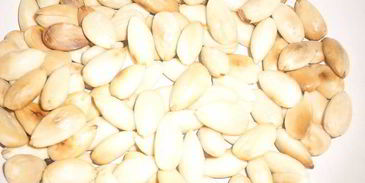 испанские шоколадные конфеты катаниас