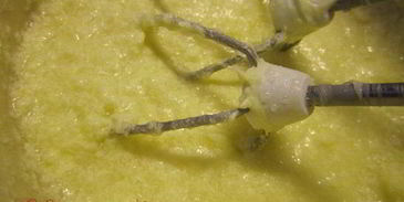 необыкновенно нежный бисквитный рулет с молочно-масляным кремом