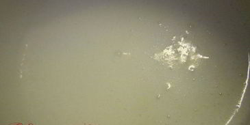 необыкновенно нежный бисквитный рулет с молочно-масляным кремом