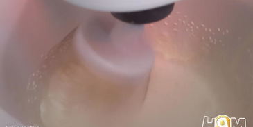 веррин с креветками под кремом с желтым перцем