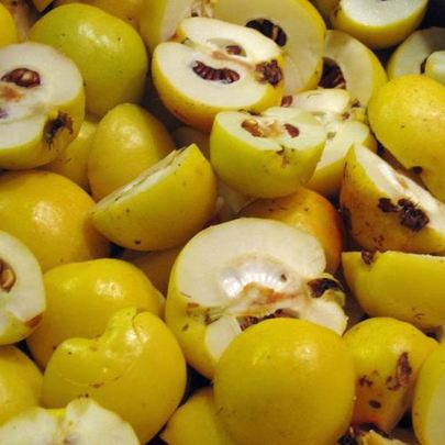 Домашний айвовый мармелад