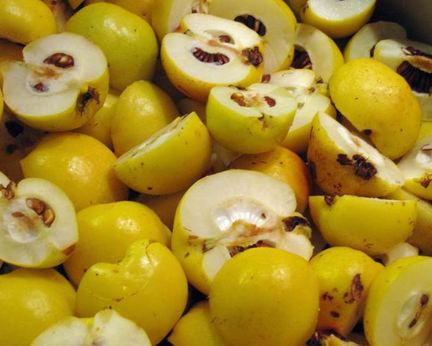 Домашний айвовый мармелад