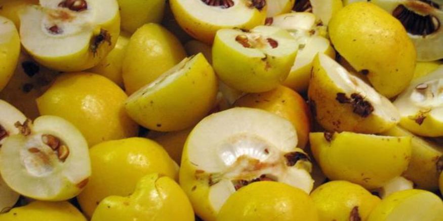 Рецепт домашнего айвового мармелада