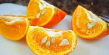 мармелад из кумквата