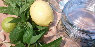 мармелад из ревеня и клубники с мятой