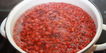 рябиновый мармелад