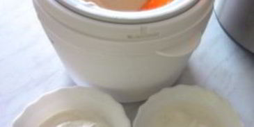 домашнее мороженое в мороженице