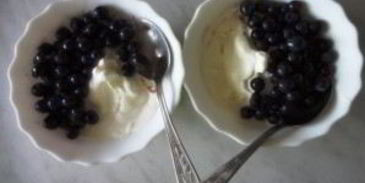 домашнее мороженое в мороженице