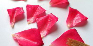 торт-мороженое малиново-розовая симфония