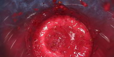 торт-мороженое смородинка