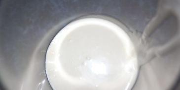 торт-мороженое смородинка