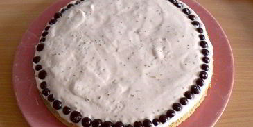 бисквит с нежным сливочно-смородиновым муссом