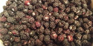 мусс из ежевики