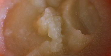 мусс яблочная фантазия