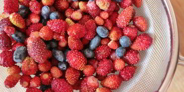 творожный мусс с ягодами и злаками