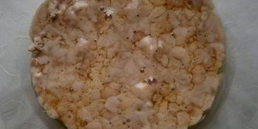 пасхальный кулич