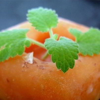 Абрикосовый щербет