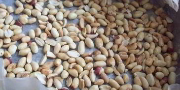 вареный молочный сахар