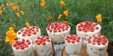 малиновый тирамису