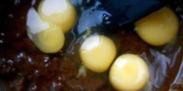 тирамису и брауни