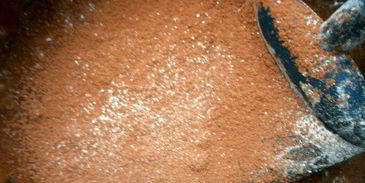 тирамису и брауни