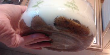 тирамису со сливками