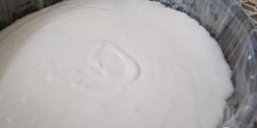 торт-мороженое тирамису