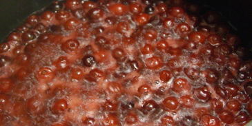 брусничный зефир с малиновым соусом