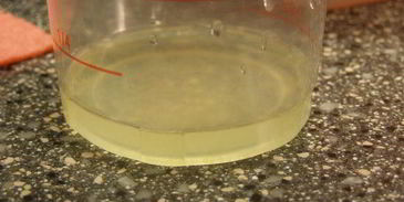 брусничный зефир с малиновым соусом