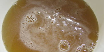 брусничный зефир с малиновым соусом