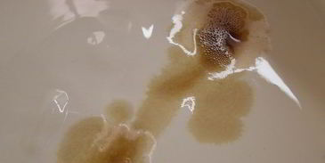 брусничный зефир с малиновым соусом