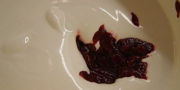 брусничный зефир с малиновым соусом