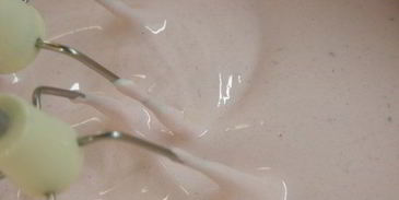 брусничный зефир с малиновым соусом