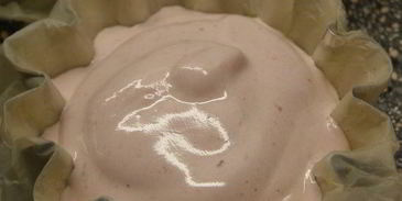 брусничный зефир с малиновым соусом