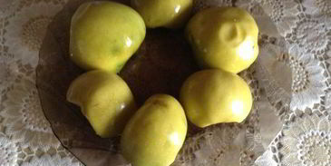 клюквенный зефир