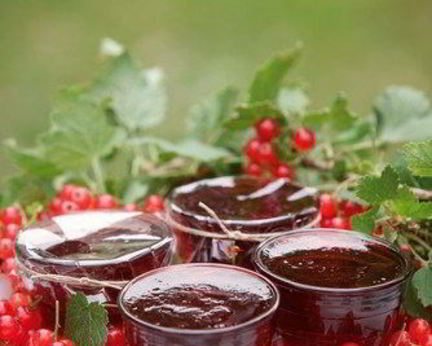 Желе из красной смородины