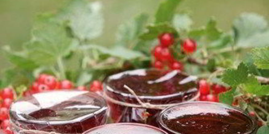 Рецепт желе из красной смородины