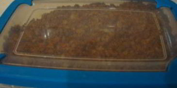 бастурма из индейки