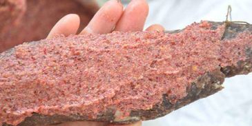 домашняя бастурма