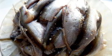 драники морковно-картофельные с килечкой