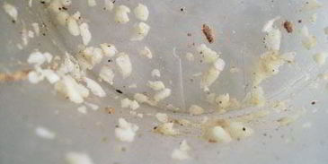 картофельно-ореховые фрикадельки