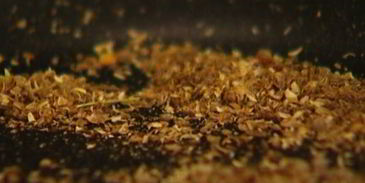 чечевица со шпинатом, тмином и кориандром