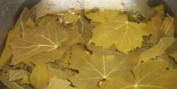 армянская долма