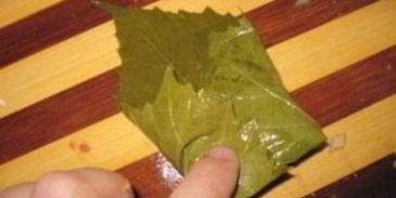 долма из маринованных виноградных листьев