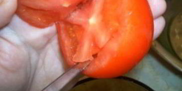 долма из овощей