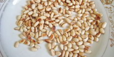 долма с курицей и кедровыми орешками